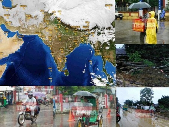 Weather to recover within 24 hrs : Depression over Bay of Bengal has moved steadily, to weaken further